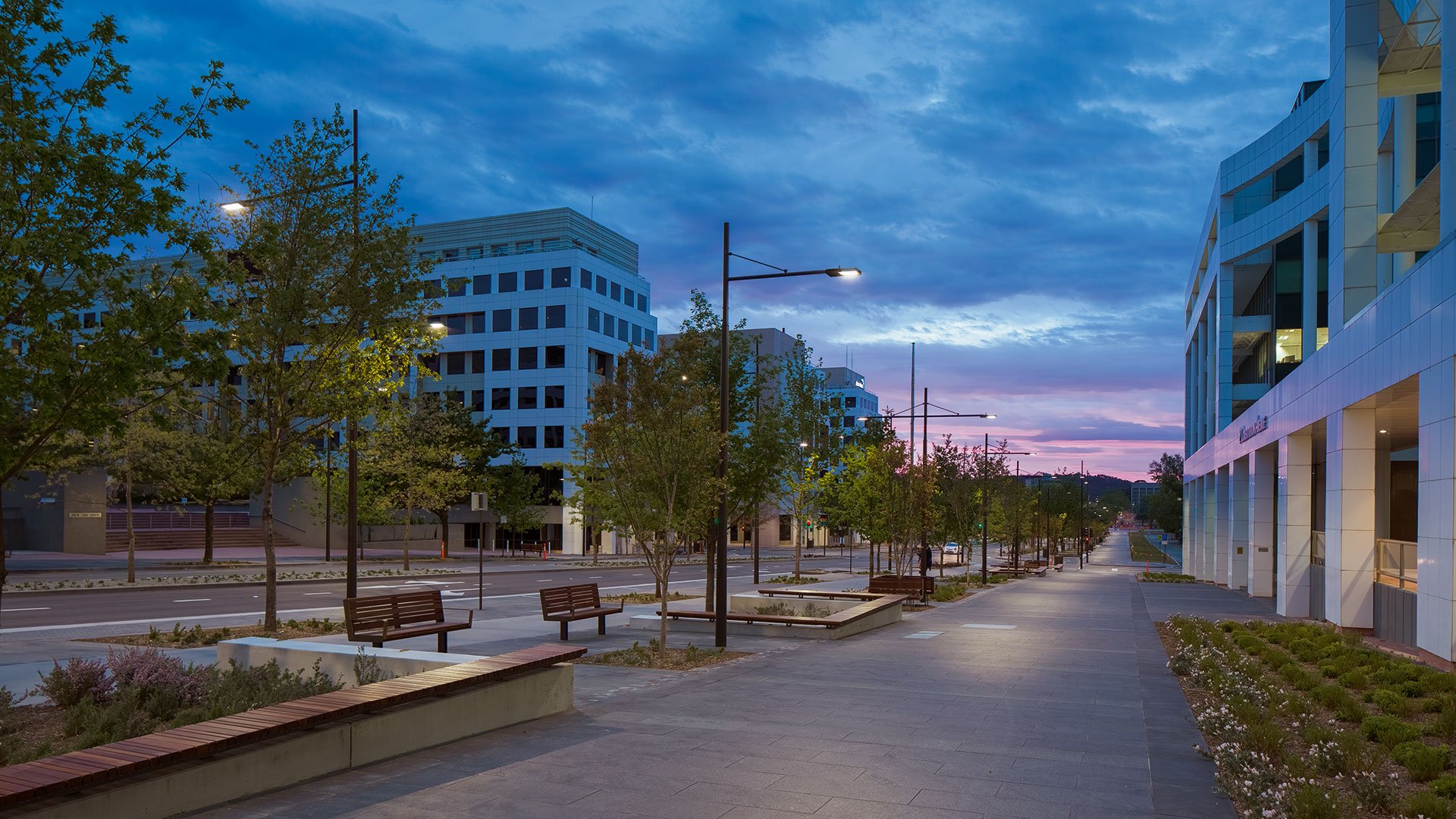 Image 1 (Pedestrian plaza at twilight): "Constitution Avenue pedestrian plaza at twilight featuring integrated landscaping with wooden benches, young plantings in concrete planters, and WE-EF LED street lighting on contemporary poles creating safe, inviting public space beside modern office buildings under dramatic purple-blue sky