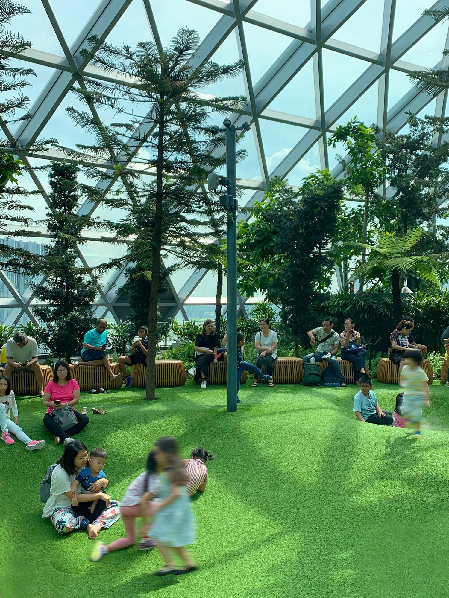 Jewel Changi Airport indoor park relaxation area under geodesic glass dome with natural lighting and lush tropical vegetation designed by Safdie Architects Singapore