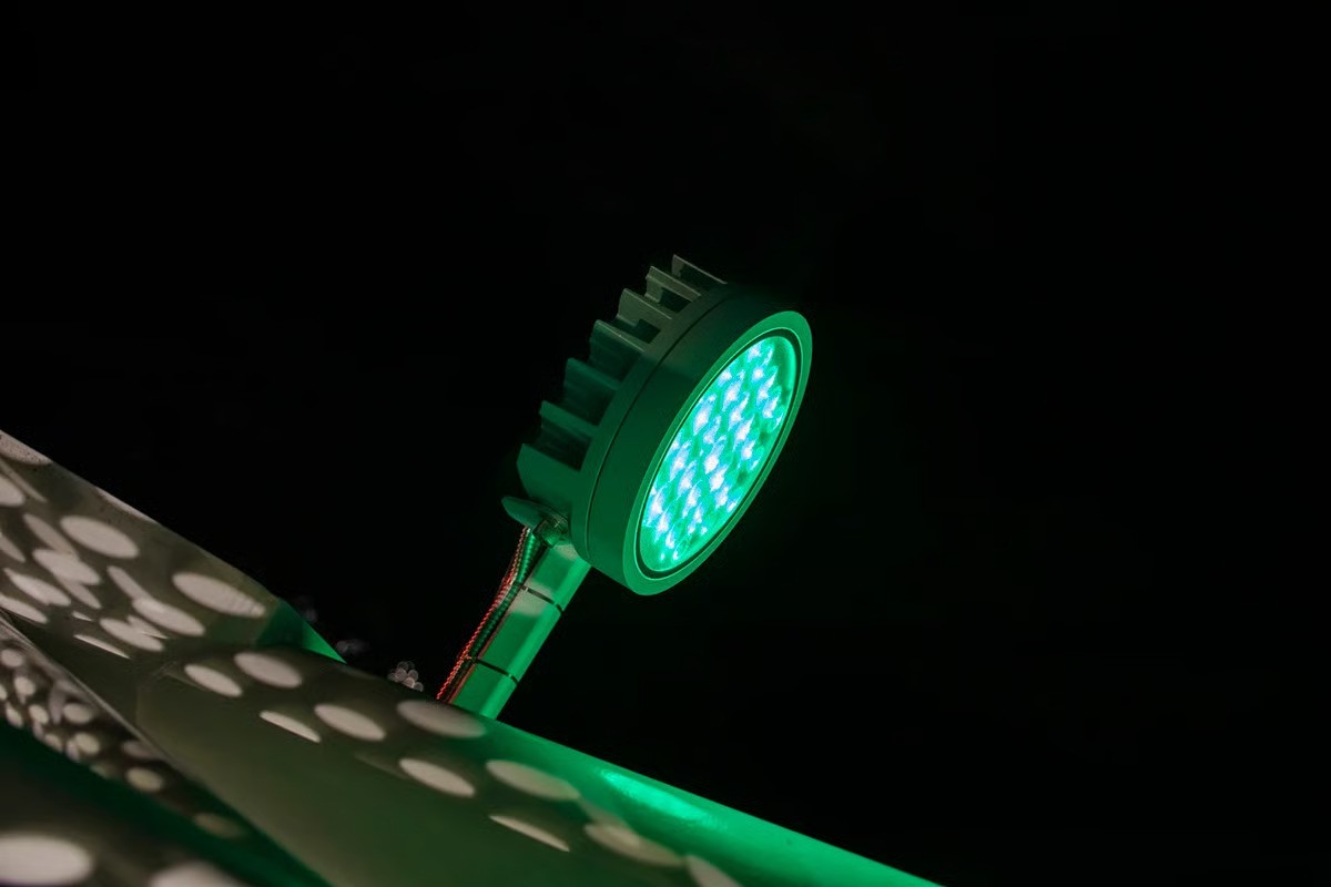 WE-EF compliant pathway lighting at Riverbend Park riverbank walkway at dusk meeting AS1158.3 P3 standards for safe pedestrian movement in Launceston