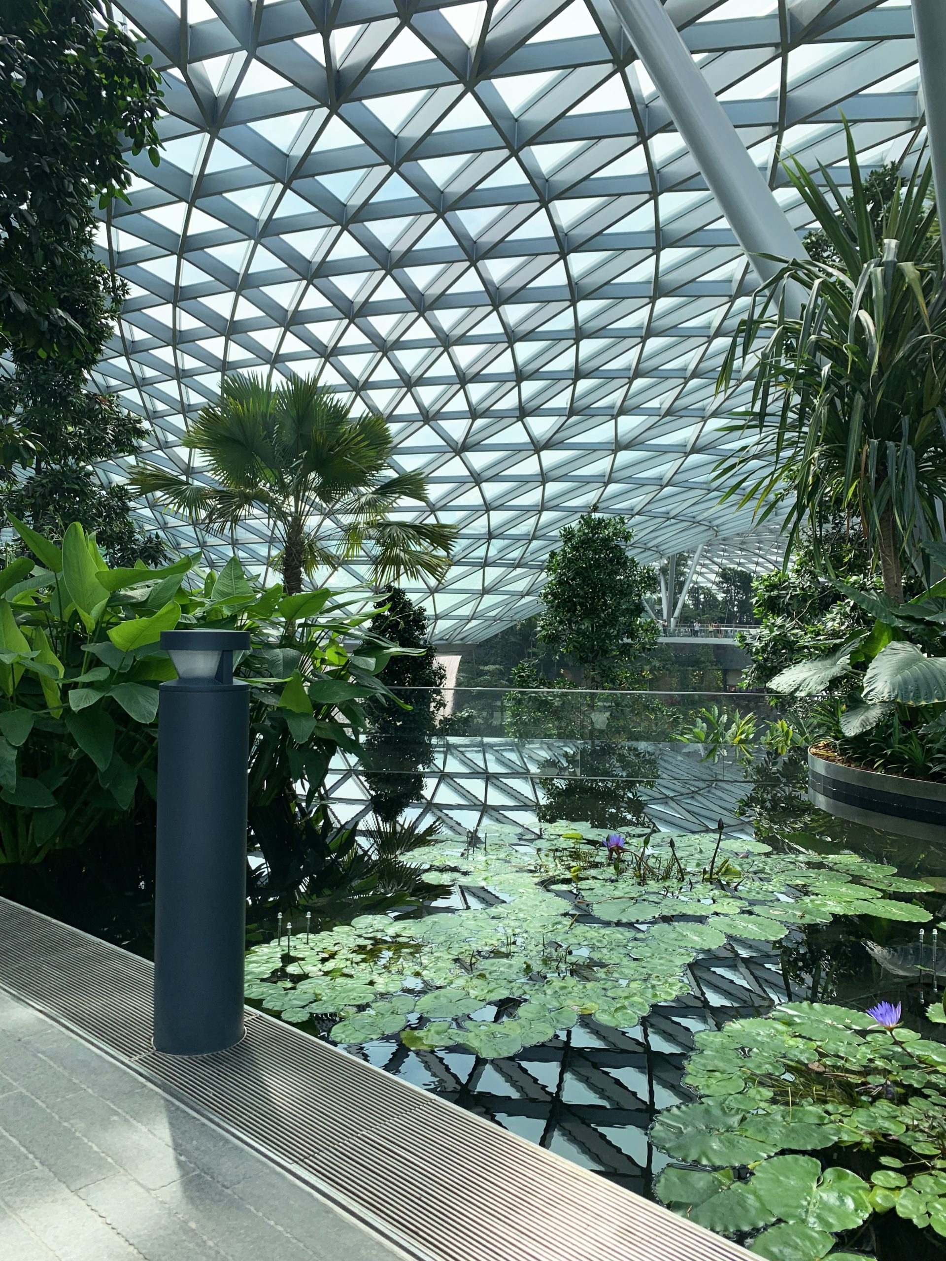 WE-EF KTY200 bollard luminaire with lily pond and tropical plants beneath geodesic glass dome at Jewel Changi Airport Canopy Park Singapore