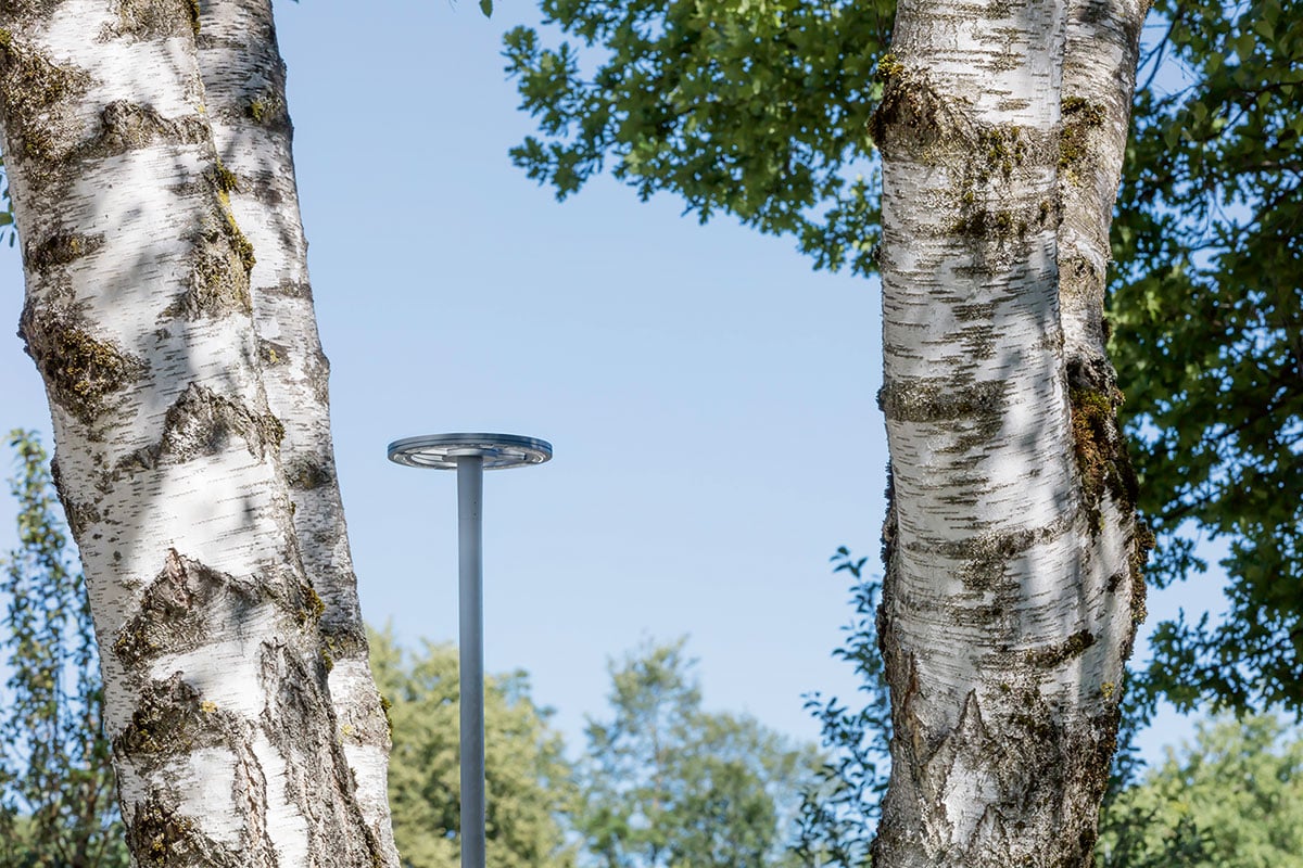 WE-EF RMC320 LED pole-mounted luminaires with 5CE corrosion protection illuminating park-like grounds at Cosimabad swimming pool Munich Bavaria
