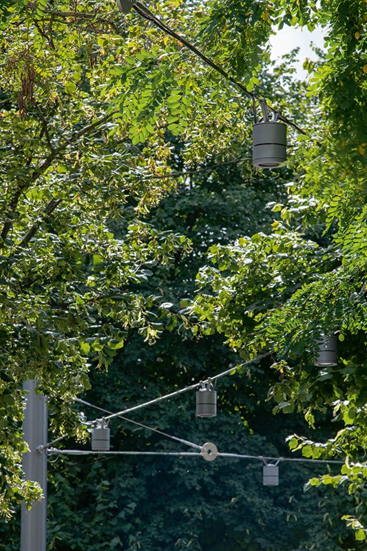 Detail of Southern House landscaping showing mature trees and greenery integrated with custom catenary lighting system, WE-EF DAC220 downlights on tensioned wire cables between poles creating characteristic business card for newly-designed Croydon neighbourhood south of London, space planning by LUC emphasizing attractive inviting pedestrian-friendly environment connecting iconic 1960s office block with urban context