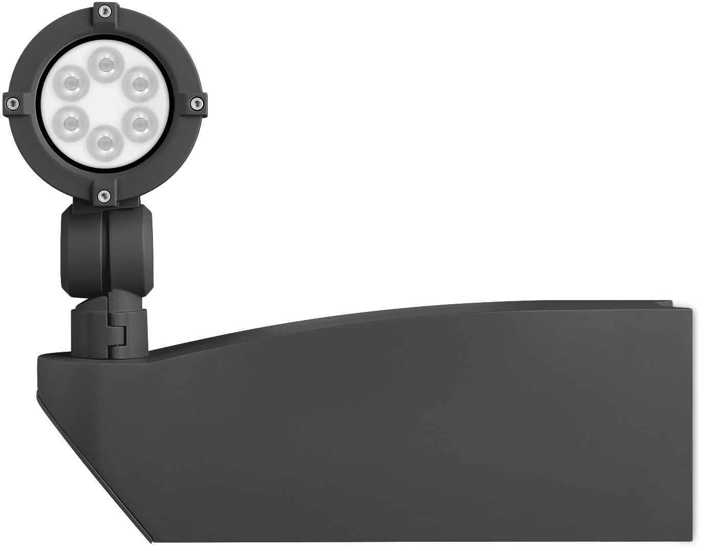 FLC100