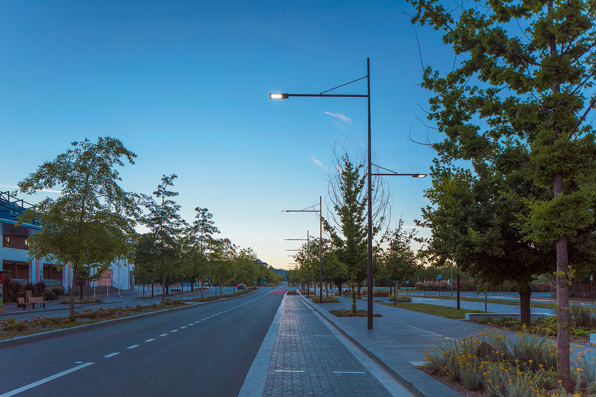 Constitution Avenue's civic boulevard at sunset featuring WE-EF contemporary lighting poles with dual outreach arms illuminating separated roadway, cycleway, and pedestrian pathways among newly planted oak trees, honoring Walter Burley Griffin's original geometric design for Canberra