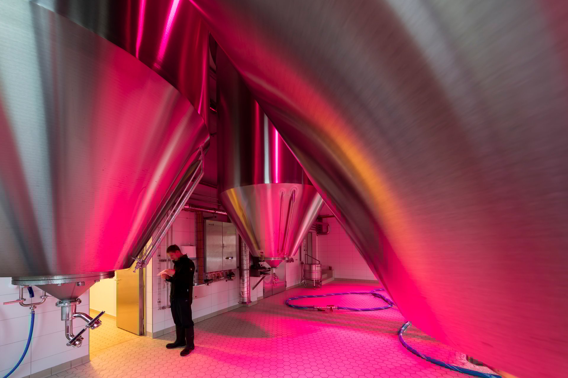 Interior of Schattenhofer Brewery fermentation tank room bathed in dramatic magenta light by WE-EF FLC220-CC RGBW LED projectors ceiling-mounted between stainless-steel tanks, master brewer monitoring beer maturation process, demonstrating how digitally controlled color-changing projectors with IP66 rating create splashproof easy-to-clean lighting installation meeting strict hygiene requirements while transforming technical brewing facility into emotionally engaging attraction
