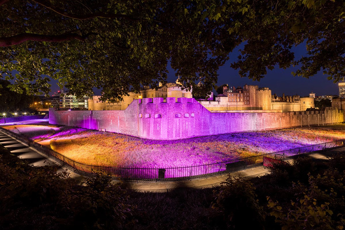 ower of London moat wildflowers illuminated in warm orange and amber using WE-EF FLC260-CC RGBW projectors with wireless Casambi control, enabling remote color adjustments via Bluetooth app to match naturally changing wildflower display that bloomed in different hues every 2-3 weeks during Superbloom 2022, eliminating need for manual filter changes through DMX-controlled system with automated photocell activation at dusk