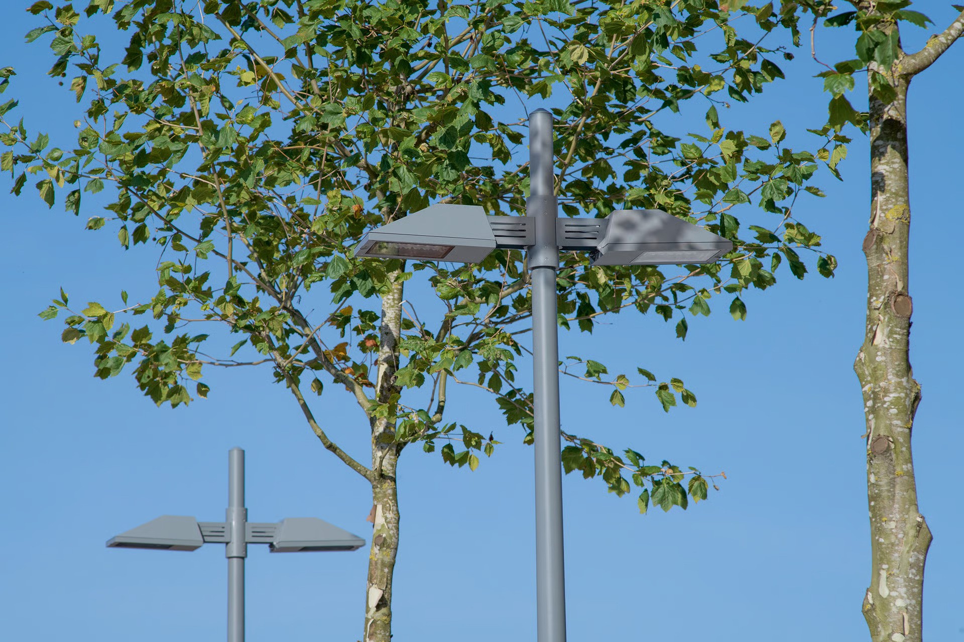 Hale Wharf canal promenade in Tottenham, London showing WE-EF PFL230 LED street luminaires on tapered poles among plane trees along waterway, with modern residential apartment buildings visible across water, demonstrating BREEAM-certified sustainable lighting design with fully shielded fixtures preventing stray light to protect adjacent Lee Valley nature reserves and wetlands
